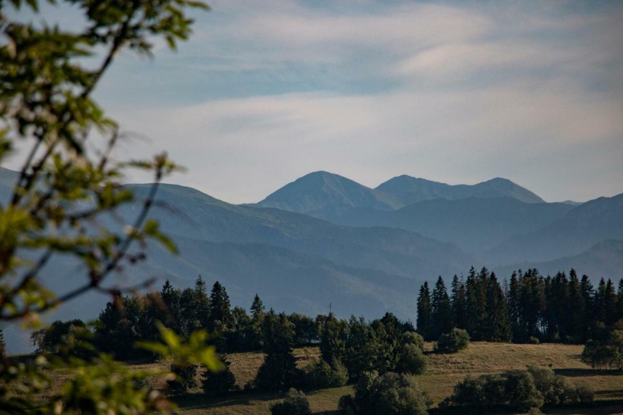 Apartmán Gliczarowka Exteriér fotografie